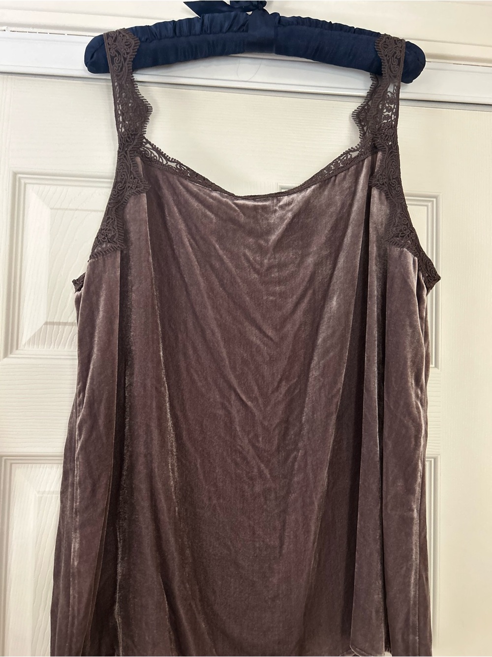 Sundance Velvet Lace Trim Tank - Taupe - Picture 3 of 6